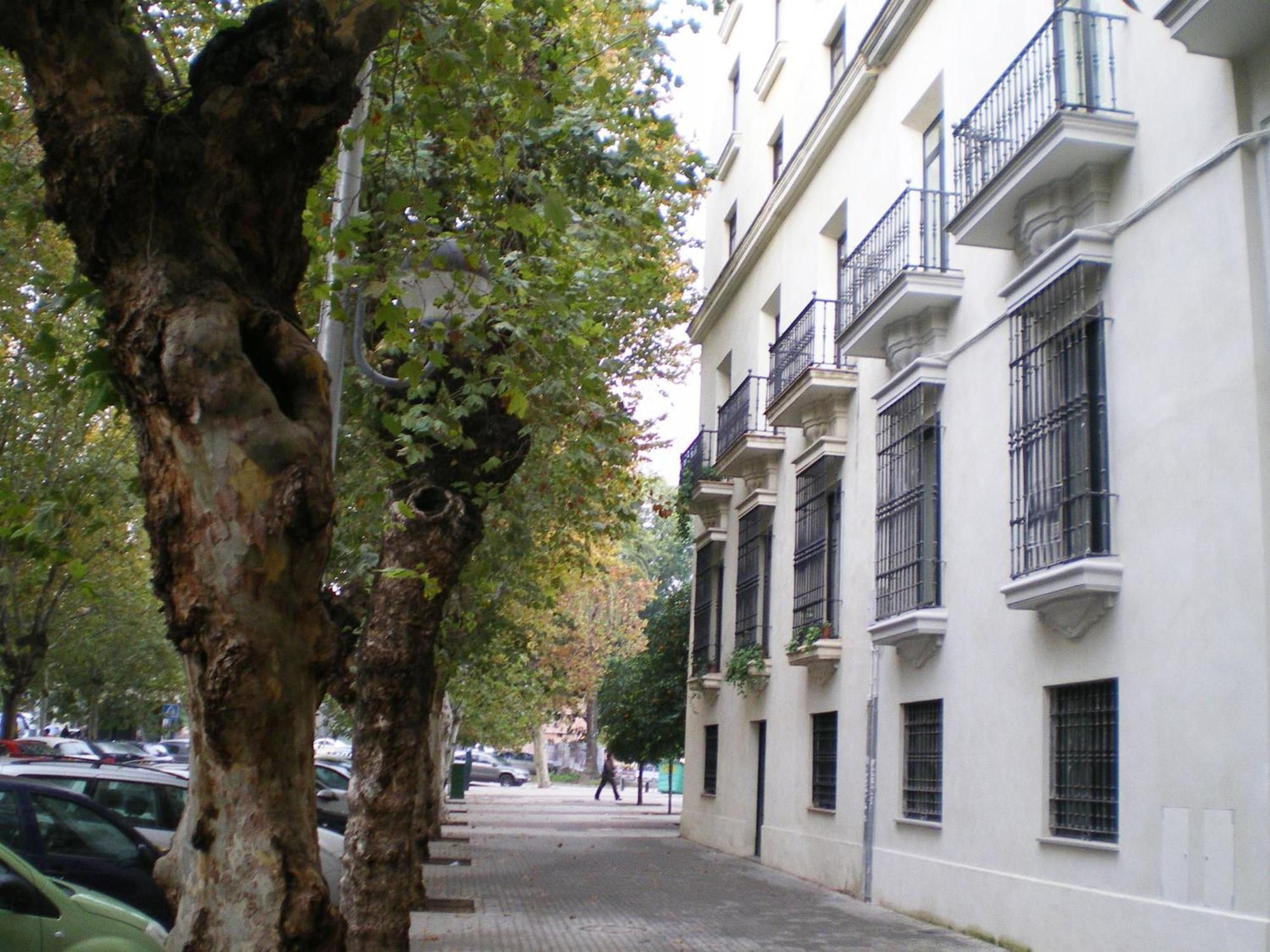 Apartamentos Murallas De Sevilla Luaran gambar