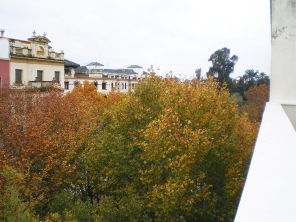 Apartamentos Murallas De Sevilla Luaran gambar